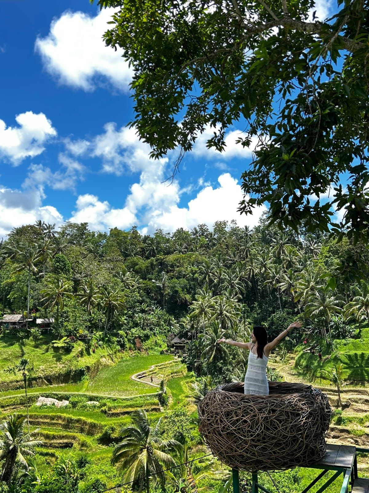 Ubud Half Day